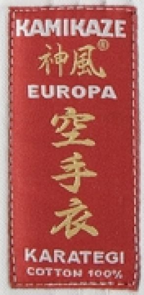 Kamikaze Europa