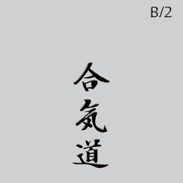 Aikido