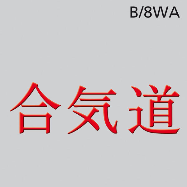 Aikido 2