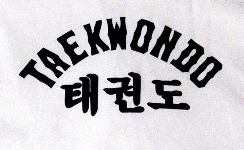 Taekwondo Anzug WTF-Modell mit Rückendruck