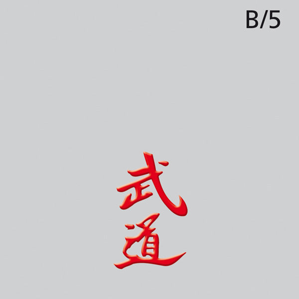 Budo