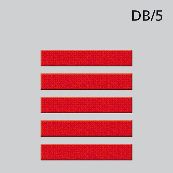 5 DAN-Balken