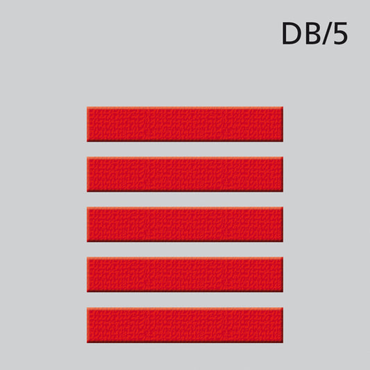 5 DAN-Balken